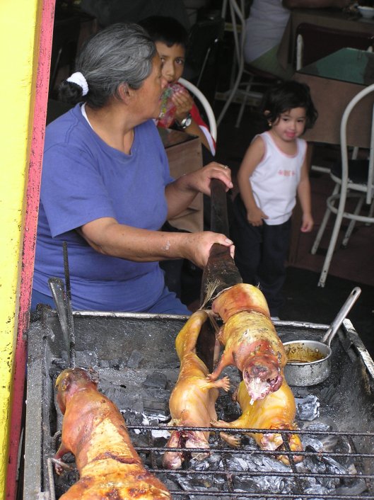 Marsvin, vardagsmat i Ecuador