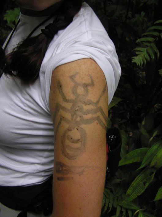Det är brukligt att få en tatuering innan besök i regnskogen. I mitt fall en tarantula.