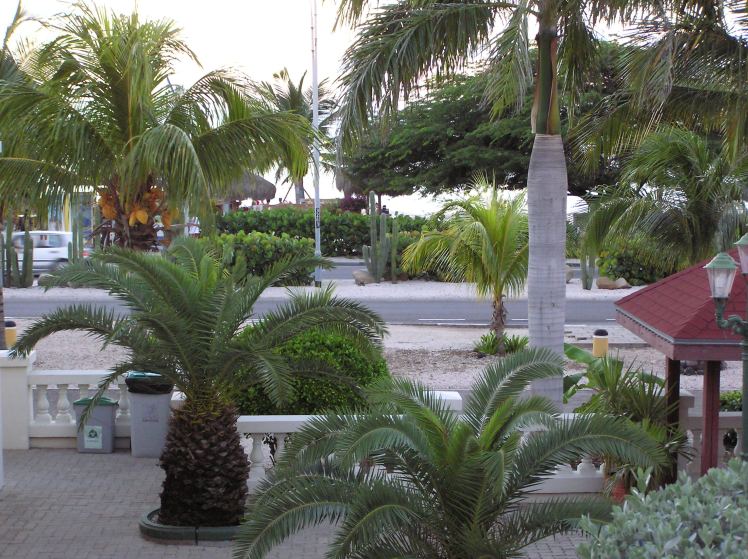 Utsikt från hotellet Amsterdam Manor