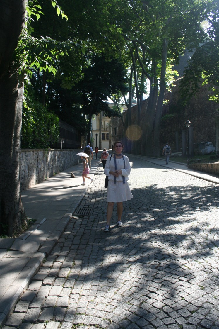 På väg upp till palatset