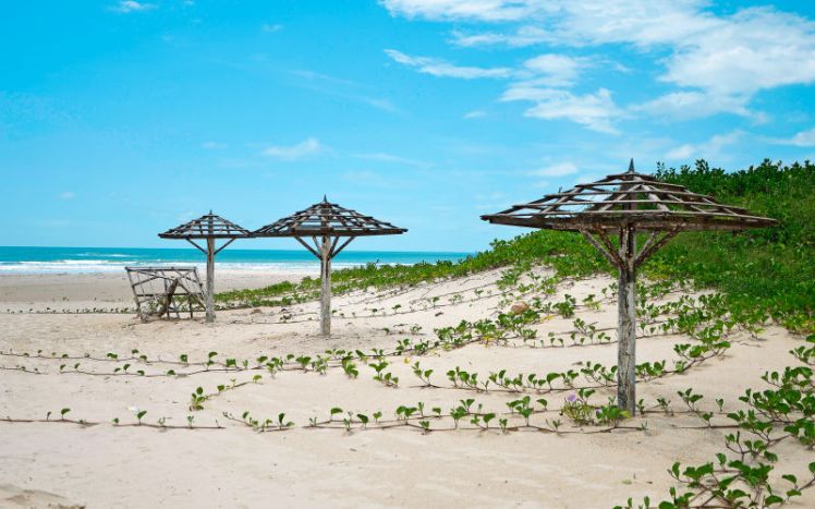 Senegal. Foto från Apollos hemsida