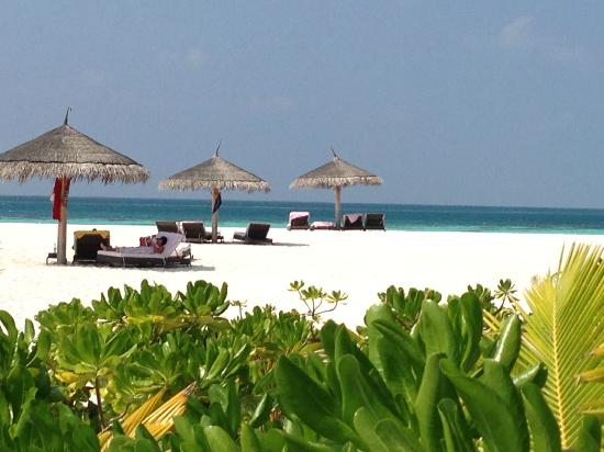 Constance Moofushi. Foto från Tripadvisor