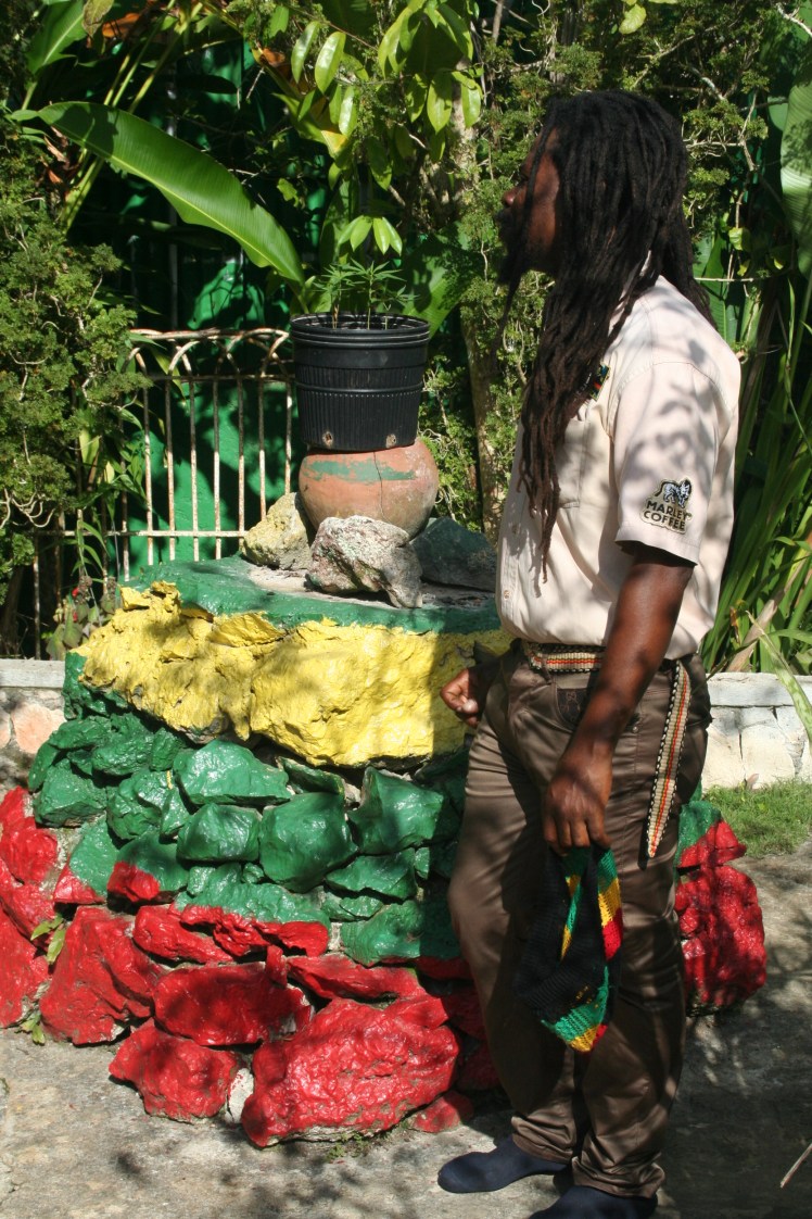 Nine Mile. Och ja, det är en majja-planta där på toppen.