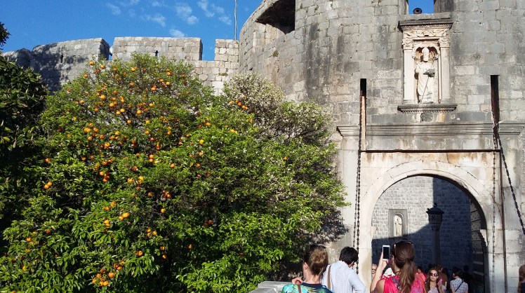 Apelsinträd bredvid Pileporten