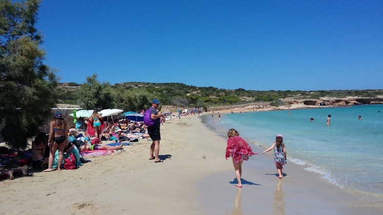 20150716_145115.jpg image