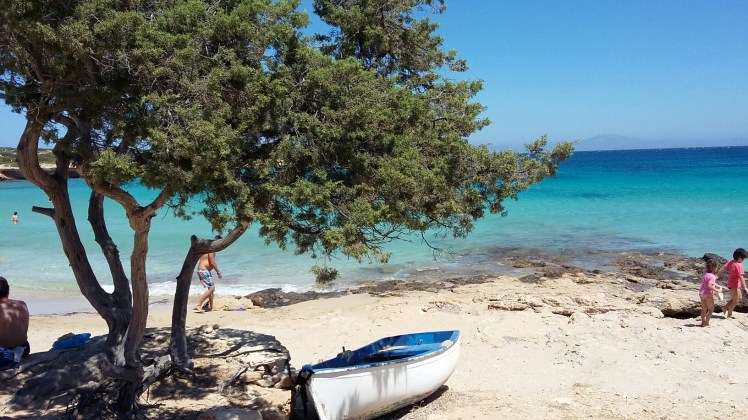 20150716_145147.jpg image